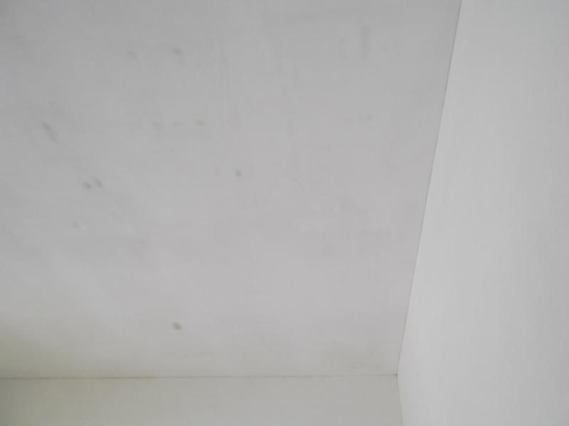VilaAntonieta_110